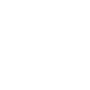 finish lasts icon